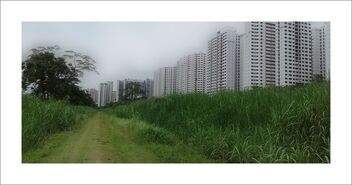 Rail corridor: The old can co-exist with the new (Choa Chu Kang, Yew Tee) - Free image #479855
