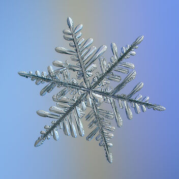 Snowflake - image gratuit #481145 