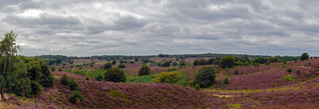 Panorama - Nationaal Park Veluwezoom - NL - Free image #483135