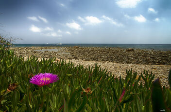 Playa de piedras - бесплатный image #490425