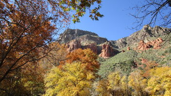 Arizona - Sedona: Oak Creek Canyon - Golden in the fall - Kostenloses image #490625