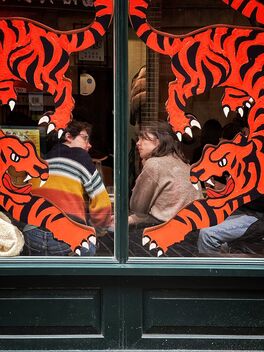 Crouching Tigers - image gratuit #491405 
