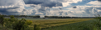 De Biesboschpolder - Netherlands - panorama - бесплатный image #493925