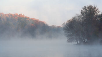 Early Morning Mist on Lake Needwood - image gratuit #494095 