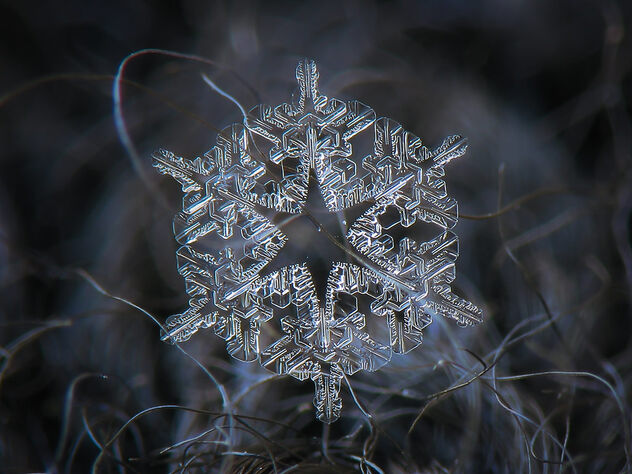 Snowflake 2023-01-08_5774-84 - image gratuit #501185 