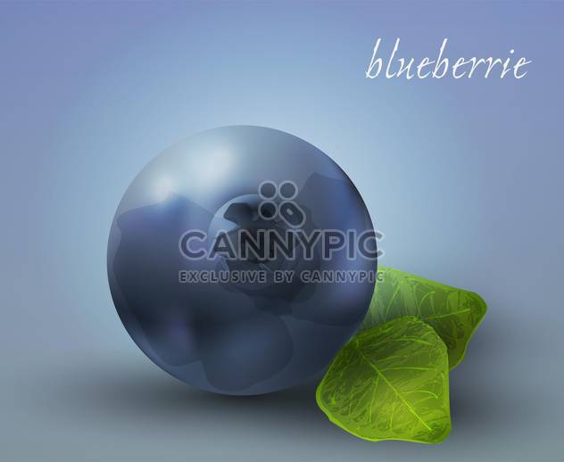 ripe blueberry vector illustration - vector gratuit #130485 