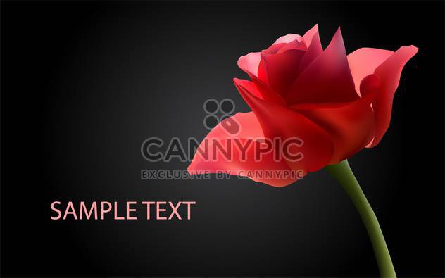 vector background with red roses - vector gratuit #134825 