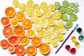 Set of citruses and paints on white background - image #136235 gratis