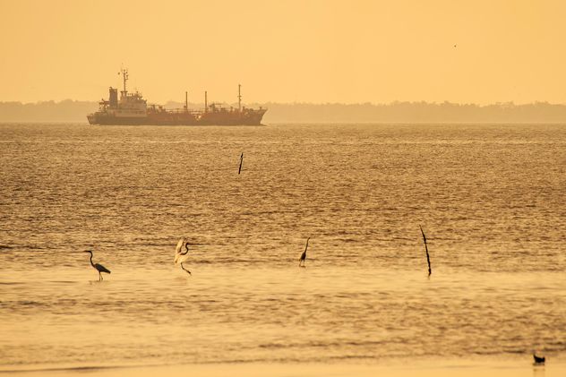 Birds on sea and ship on background - бесплатный image #136355