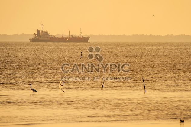 Birds on sea and ship on background - image #136355 gratis