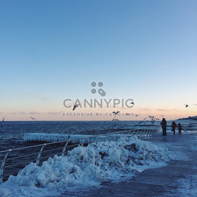 People feed seagulls on seafront - бесплатный image #136375