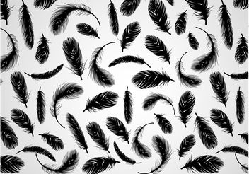 Feathers Pattern - Free vector #143945