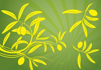 Olive Branch Vector - Free vector #145535