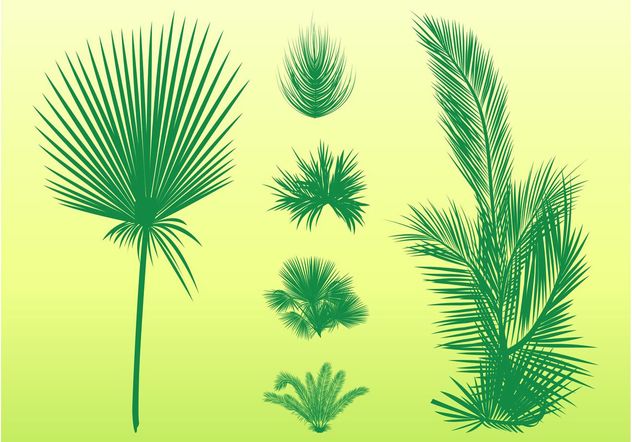 Palm Leaves Set - Kostenloses vector #146045