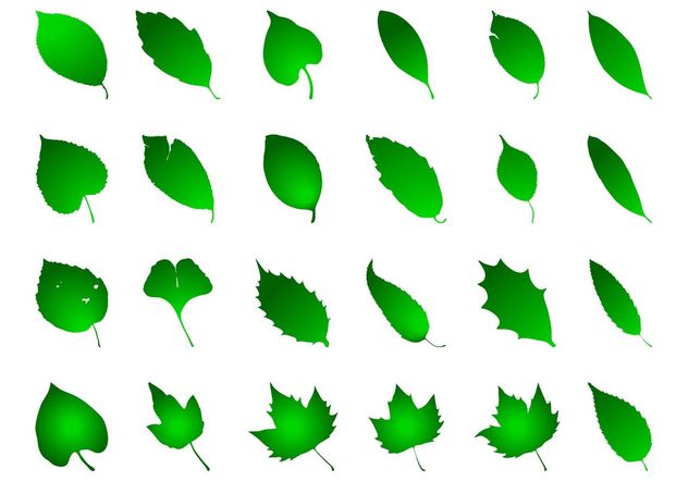 Green Leaves Graphics Set - Kostenloses vector #146475