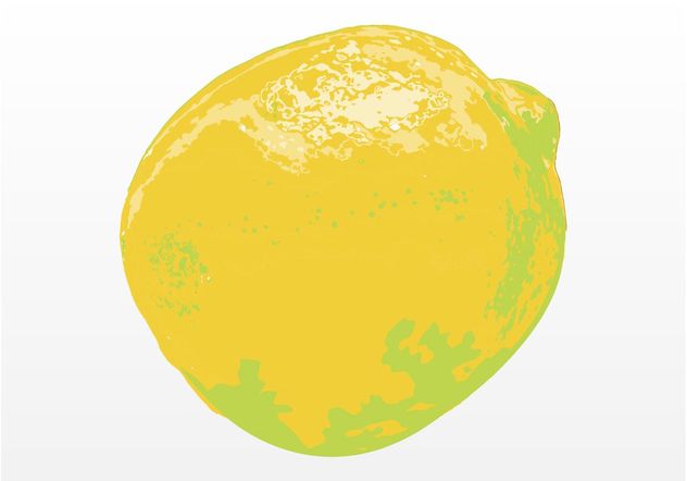 Lemon Illustration - vector #147355 gratis
