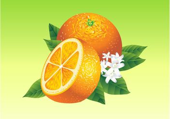 Realistic Oranges - Free vector #147575