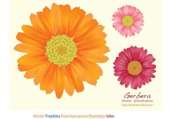 Summer Flowers - Kostenloses vector #152655