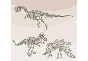 Dinosaur Bones Vectors - vector gratuit #157275 