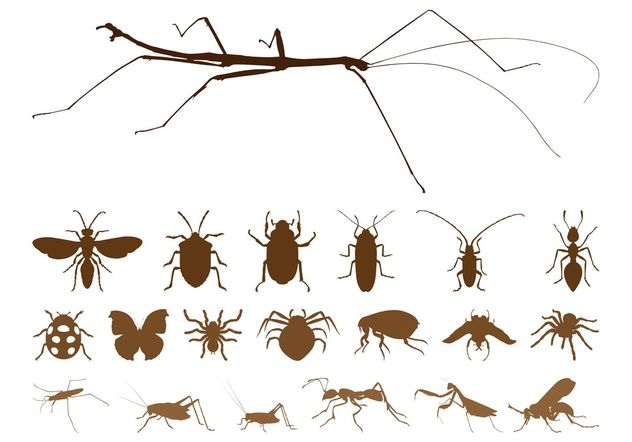 Insect Silhouettes Set - vector gratuit #157595 
