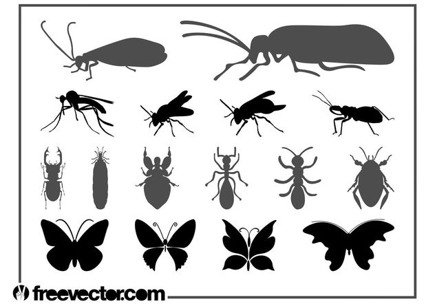 Insects Graphics Set - бесплатный vector #157615