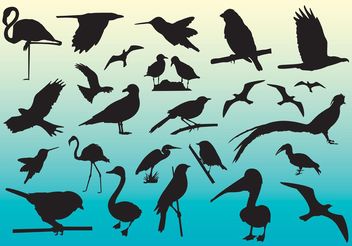 Free Birds Vector Silhouettes - vector gratuit #157675 