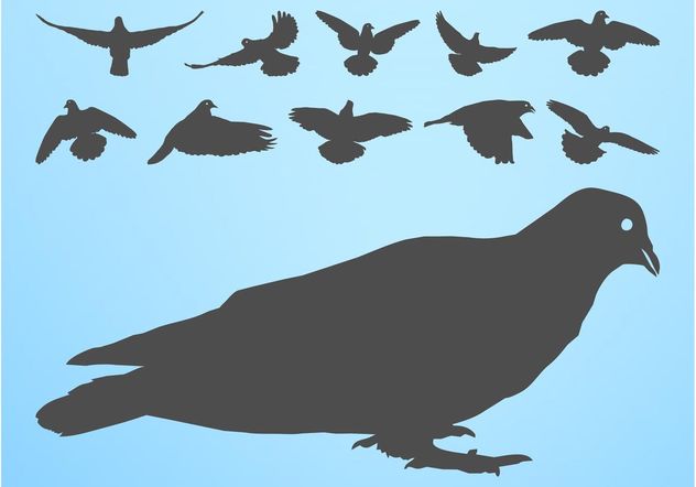 Pigeons Silhouettes - Free vector #157755