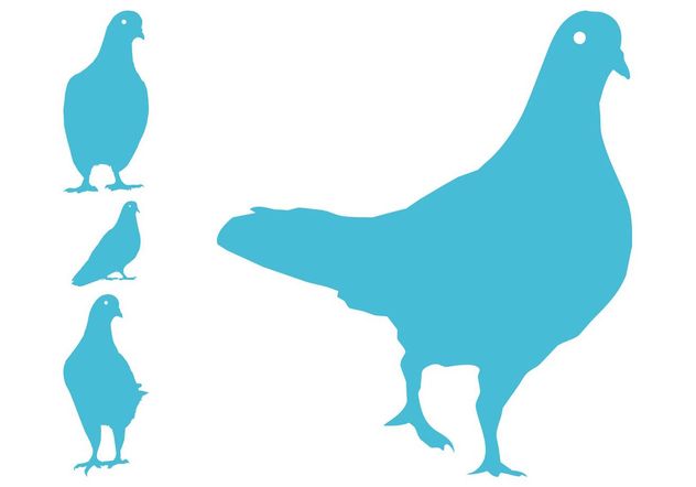 Pigeon Silhouettes - Kostenloses vector #157765