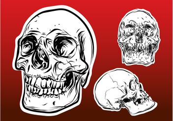 Skulls - vector gratuit #158675 