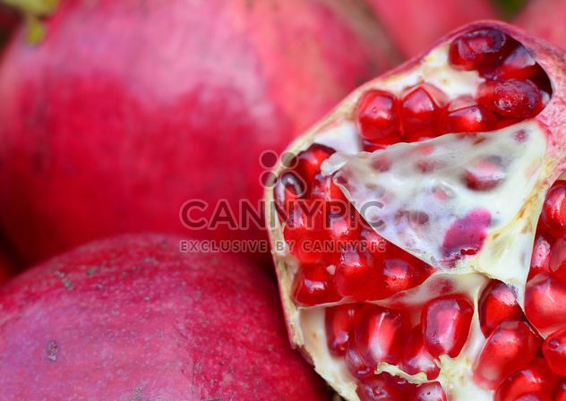 Pomegranate - image #182785 gratis