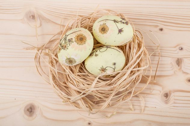Easter eggs in nest - image gratuit #183105 