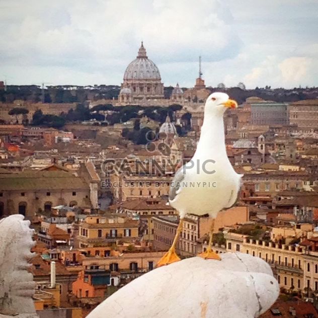 Seagull on a statue - image #183335 gratis