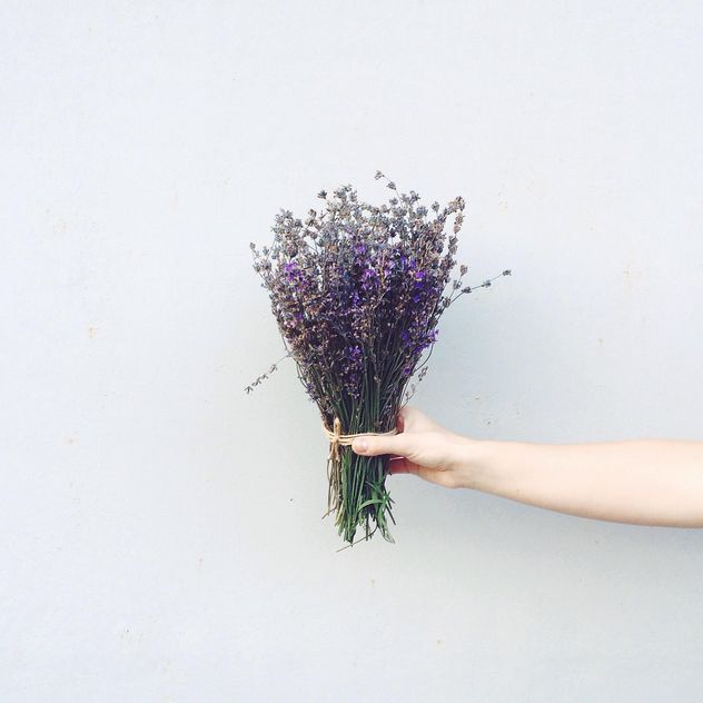 Lavender flowers in hand - image #183565 gratis