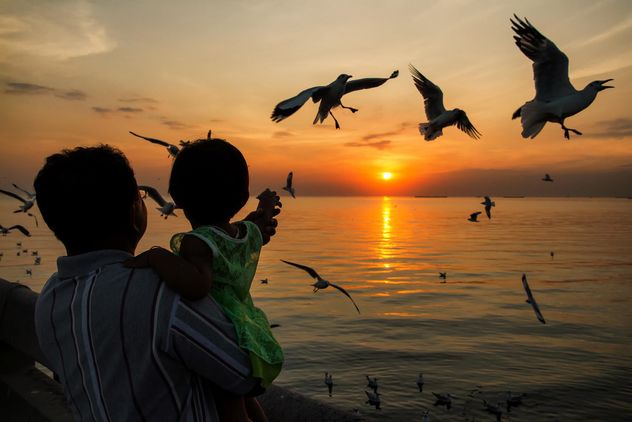 People feeding seagulls at sunset - image #183925 gratis