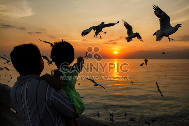 People feeding seagulls at sunset - image #183925 gratis
