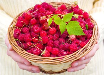 basket of raspberries - Kostenloses image #185885