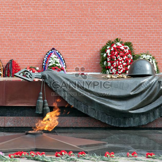 Tomb of the Unknown Soldier and eternal flame in Alexander Garden - Free image #186215