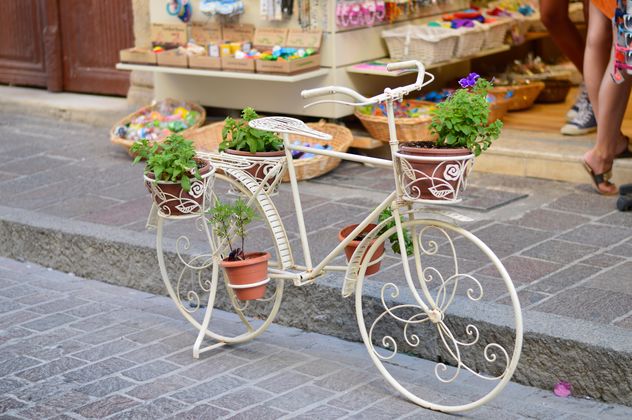 Decorative bike with flowers - Free image #186265