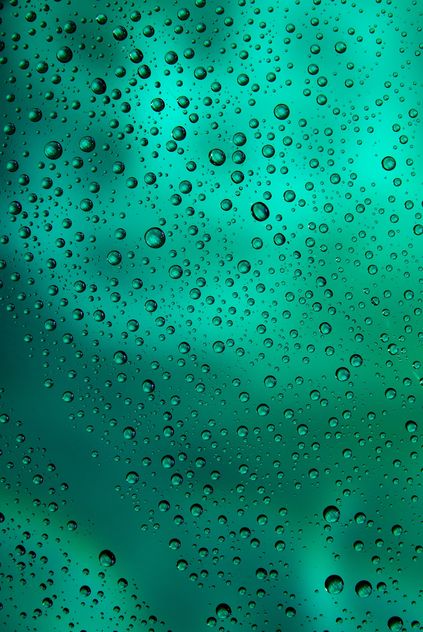 Water drops on green background - image #187665 gratis
