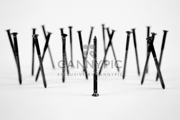 Screws isolated on white background - image #187695 gratis