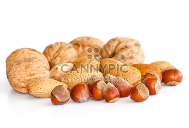 Nuts in Shells isolated on white - бесплатный image #187845