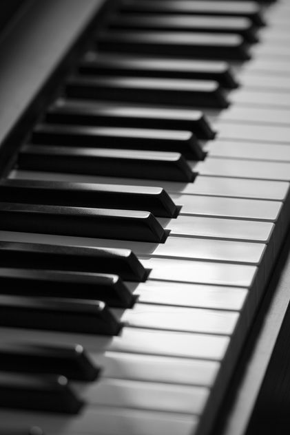 Piano keys in detail - Free image #187915