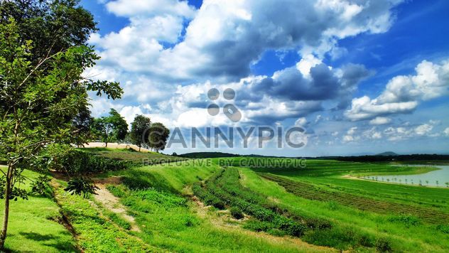 garden,mountain,cloud,sky,country,tree,green,natural,nature - image #205075 gratis