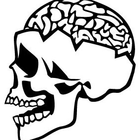 Skull With Brain Vector - бесплатный vector #207035