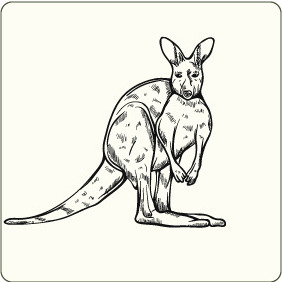 Kangaroo 3 - vector gratuit #207945 