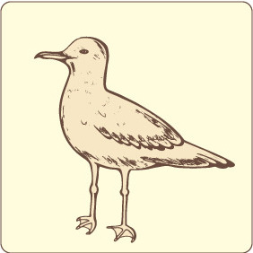 Bird 10 - бесплатный vector #208805