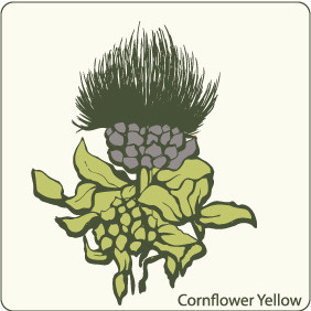 Cornflower - Kostenloses vector #209595