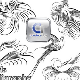 Creative Birds Calligraphy - бесплатный vector #212165