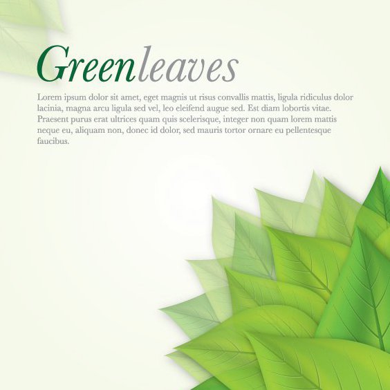 Green Leaves - Free vector #212785