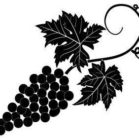 Grapevine Vector Image - Free vector #213015